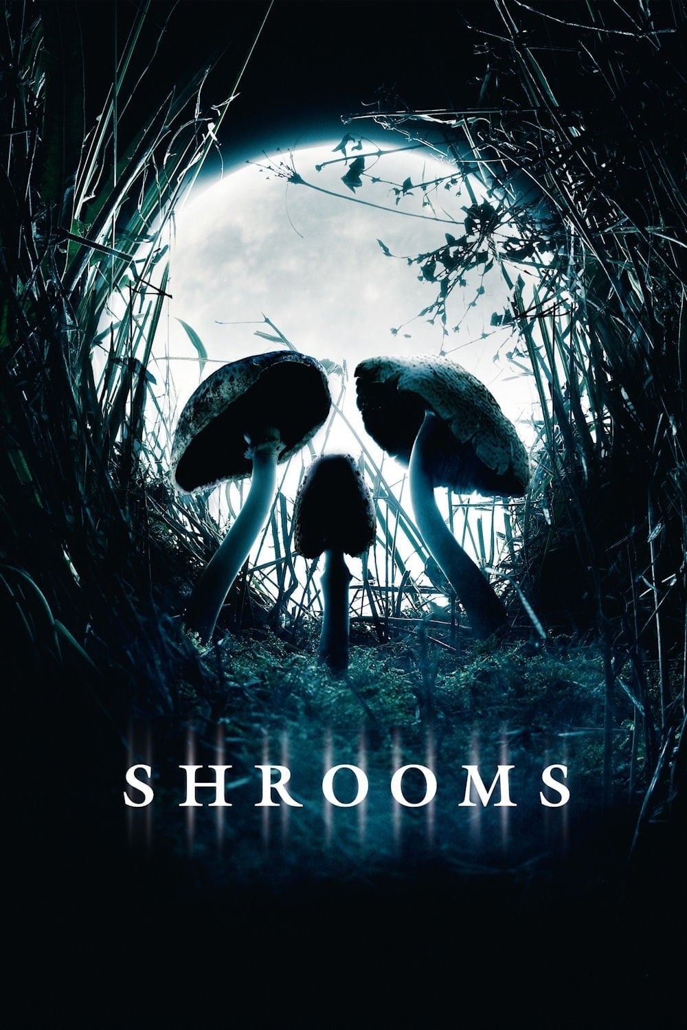 Shrooms - Paddy Breathnach · 2007