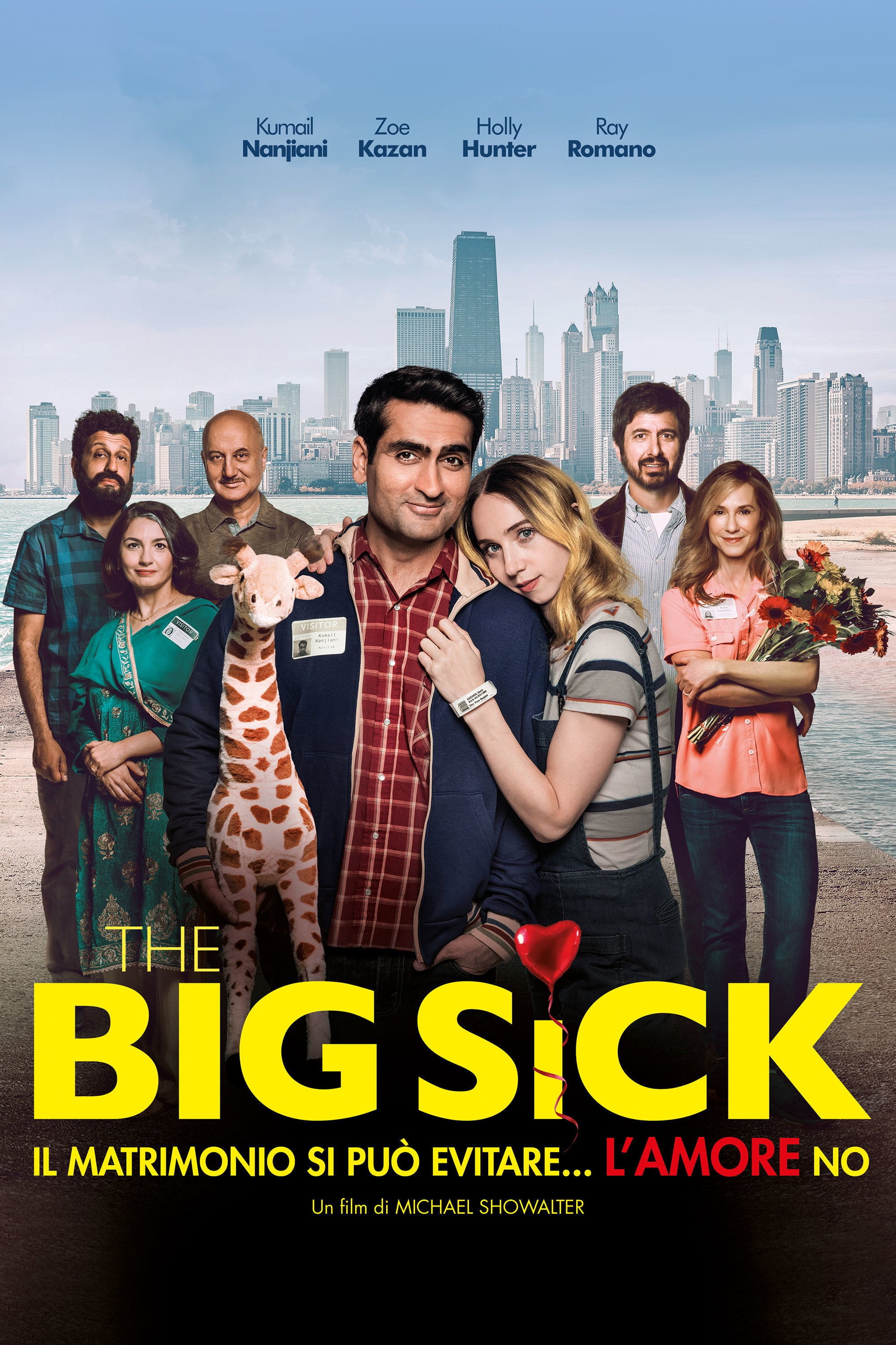 La gran enfermedad del amor - Michael Showalter · 2017