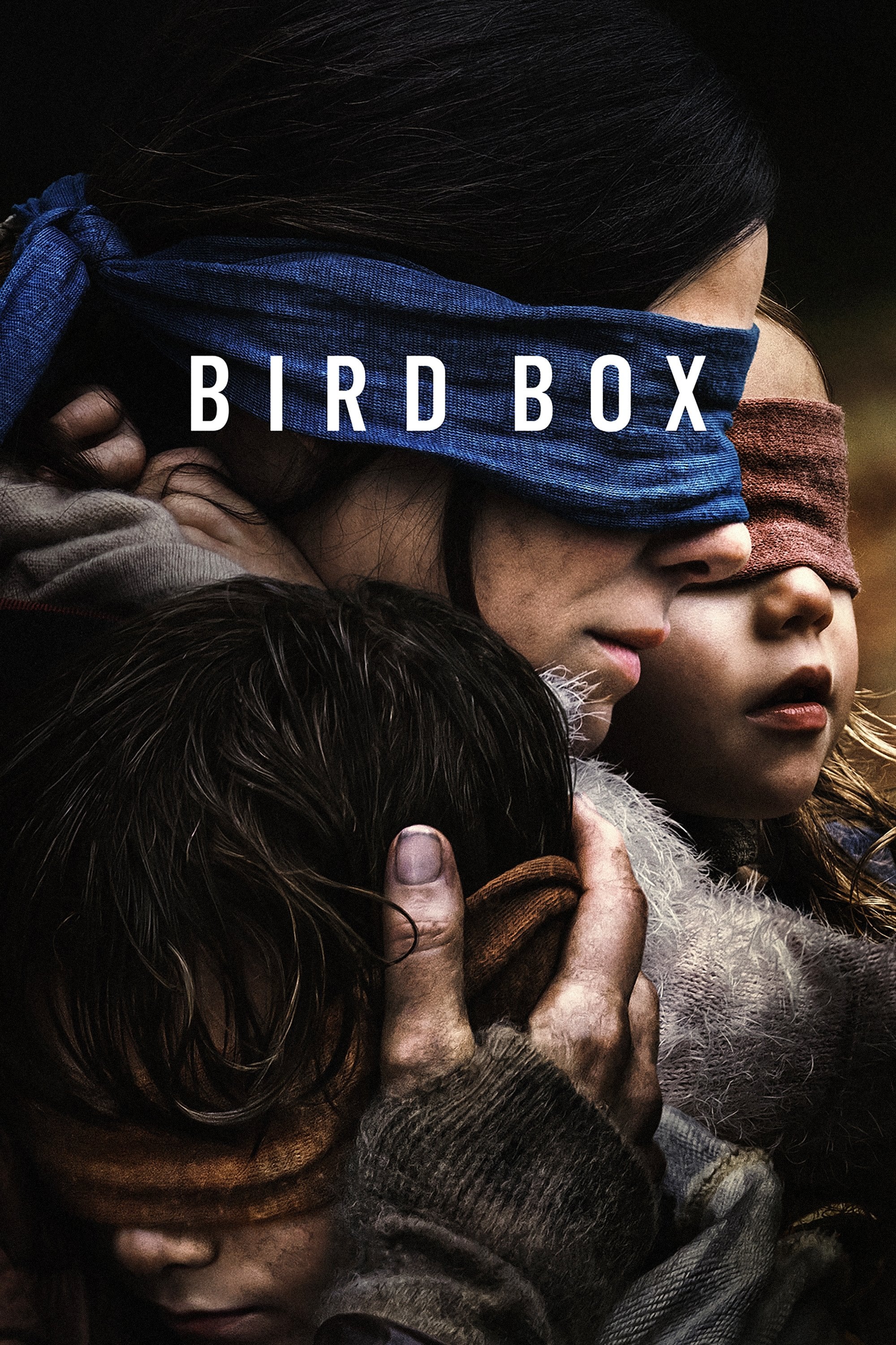 Bird Box - Susanne Bier · 2018