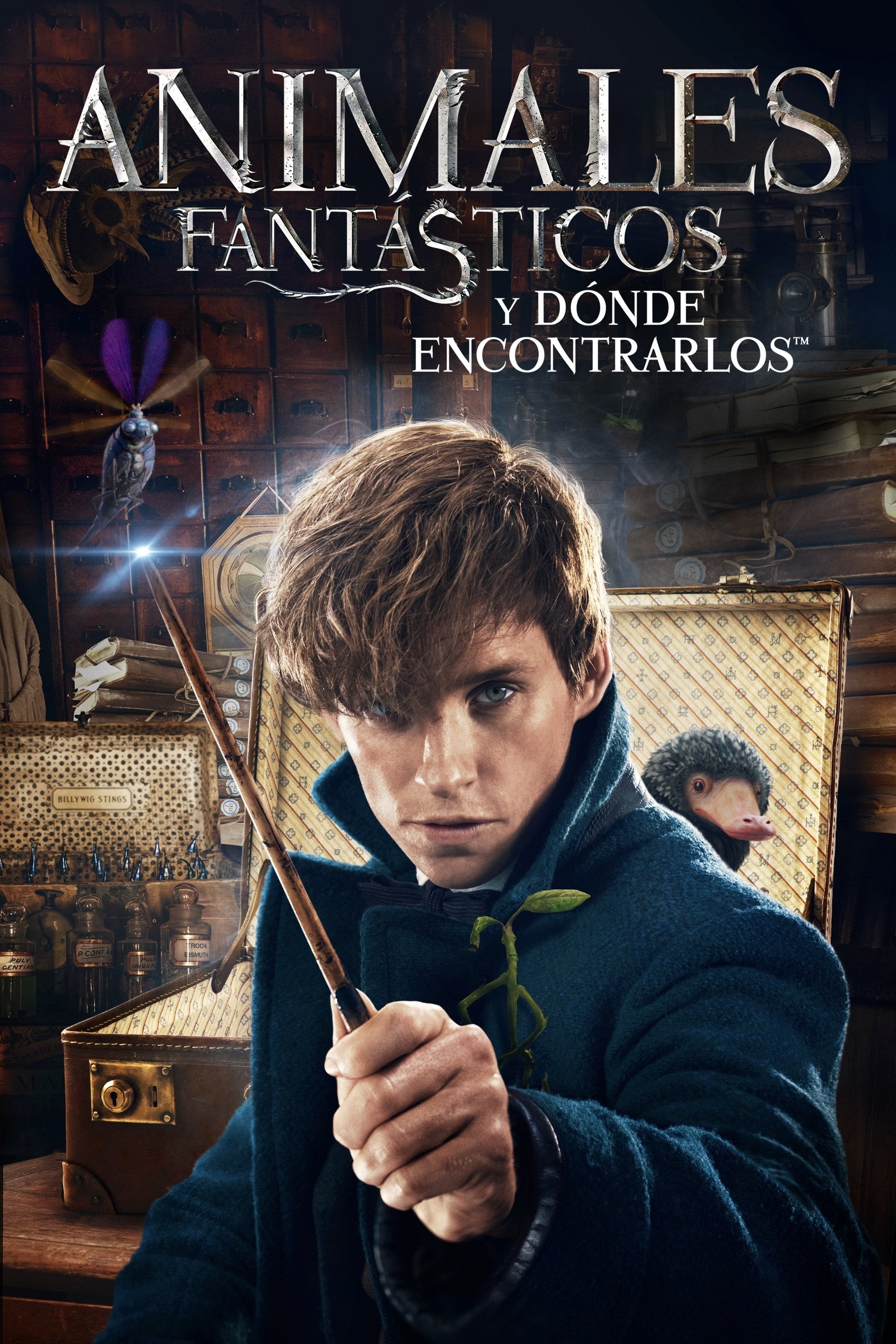 Les Animaux Fantastiques - David Yates · 2016
