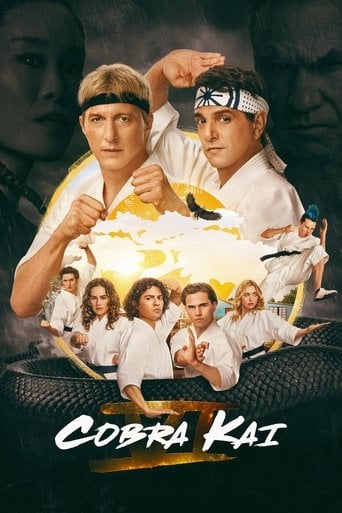 Cobra Kai - Jon Hurwitz · 2018