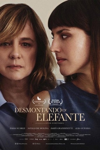 Desmontando un elefante - Aitor Echeverría · 2025