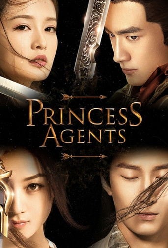 Princess Agents - Xiao Xiang Dong Er · 2017