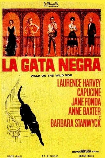 La gata negra - Edward Dmytryk · 1962