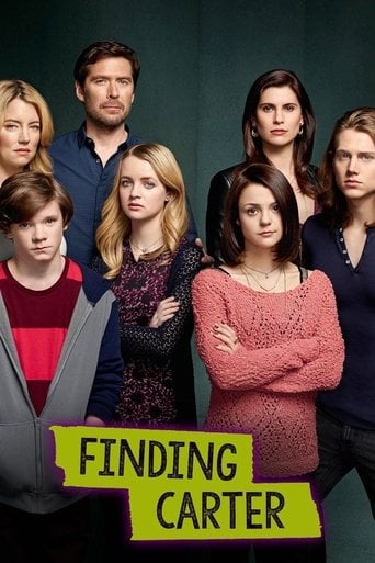 Finding Carter - Emily Silver · 2014