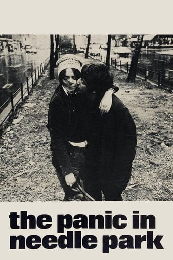 The Panic in Needle Park - Jerry Schatzberg · 1971