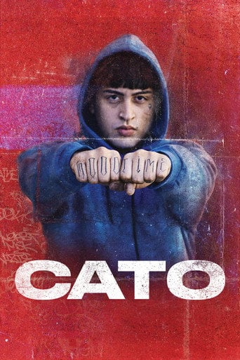 CATO - Peta Rivero y Hornos · 2021