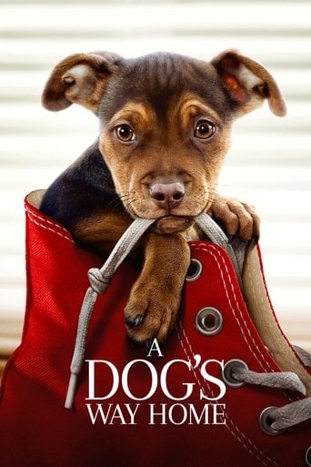 A Dog's Way Home - Charles Martin Smith · 2019