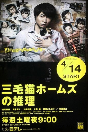 Mysteries of Detective Cat HOLMES - · 2012