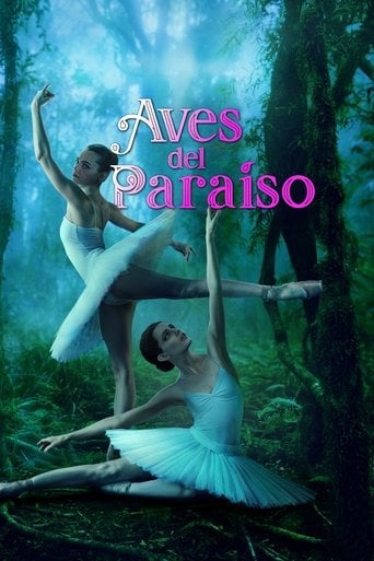 Birds of paradise  - Sarah Adina Smith · 2021