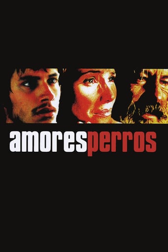 Amores perros - Alejandro González Iñárritu · 2000