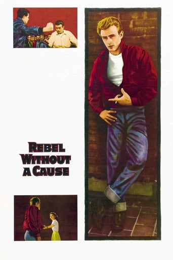 Rebel Without a Cause - Nicholas Ray · 1955