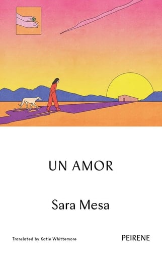 Un amor - Sara Mesa • 2024