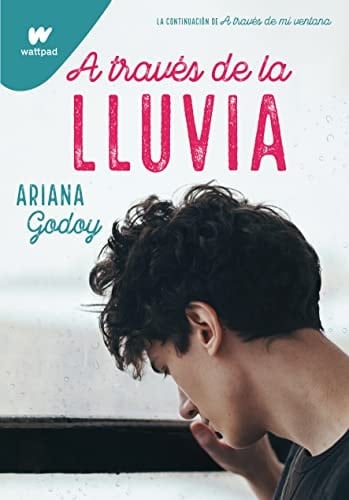 A TRAVES DE LA LLUVIA - ARIANA GODOY • 1900