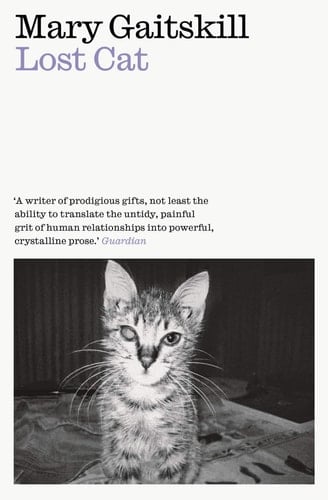 Lost Cat - Mary Gaitskill • 2020