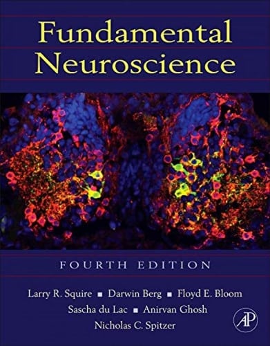 Fundamental Neuroscience (Squire,Fundamental Neuroscience) - Larry Squire • 2012