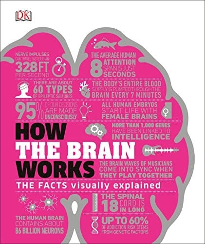 How the Brain Works: The Facts Visually Explained (DK How Stuff Works) - DK • 2020
