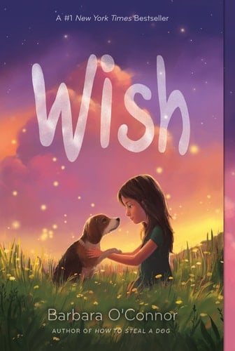 Wish - Barbara O'Connor • 2017