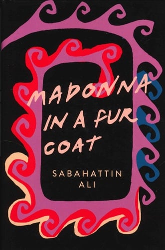 madonna in a fur coat  - Sabahattin Ali · 2016