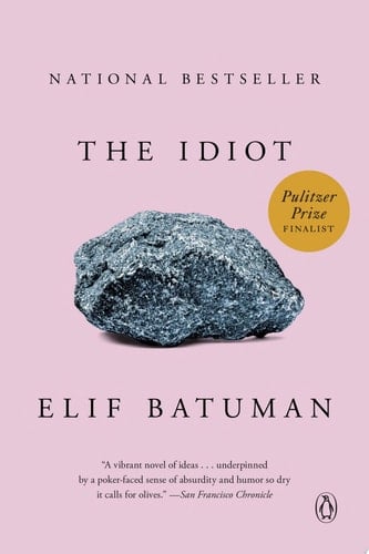 The Idiot: A Novel - Elif Batuman • 2018