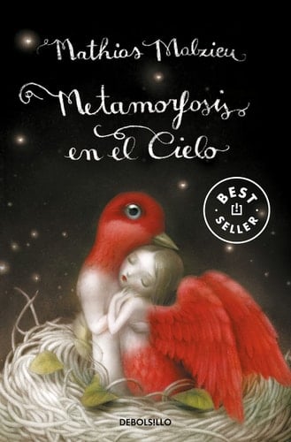 Metamorfosis en el cielo (Spanish Edition) - Mathias Malzieu • 2013