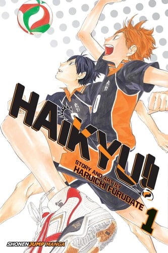 Haikyu!! - Haruichi Furudate • 2016