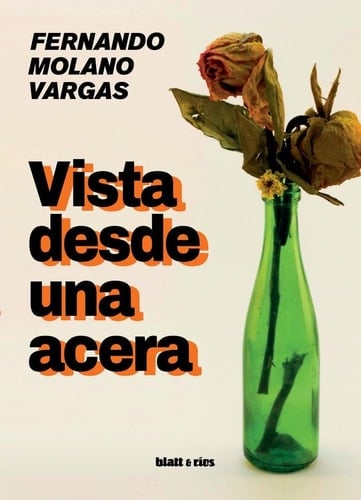 Vista desde una acera - Fernando Molano Vargas • 2023