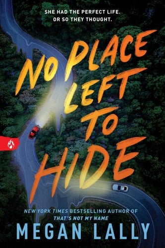 No Place Left to Hide - Megan Lally • 2025