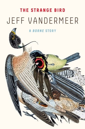 The Strange Bird: A Borne Story - Jeff VanderMeer · 2018