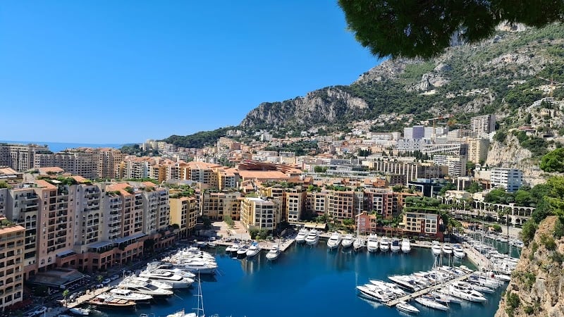 Monte Carlo