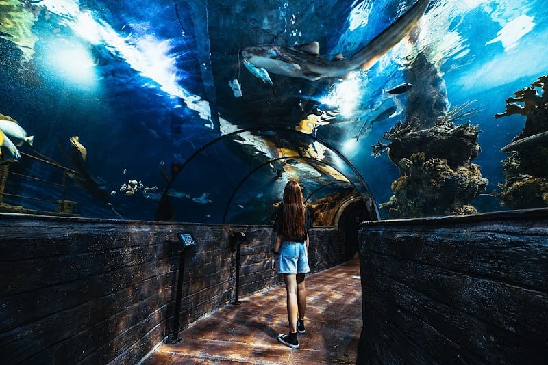 Acquario Nazionale di Malta