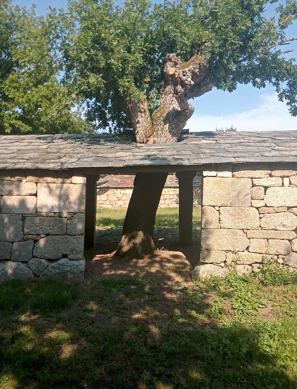 Páramo
