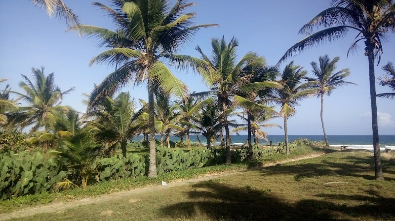 Praia do Flamengo