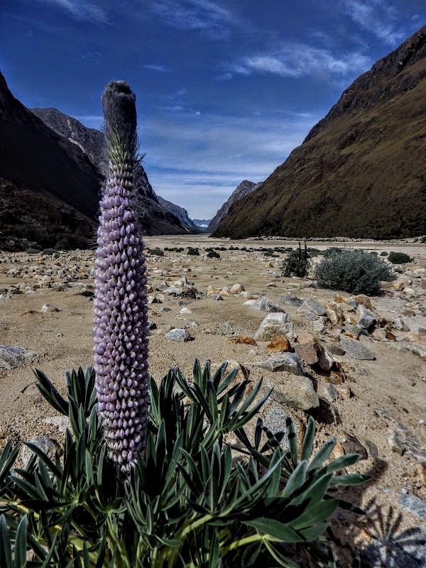 Santa Cruz Trek - 4 days / 3 Nights - You can do this in 3 days/2 nights