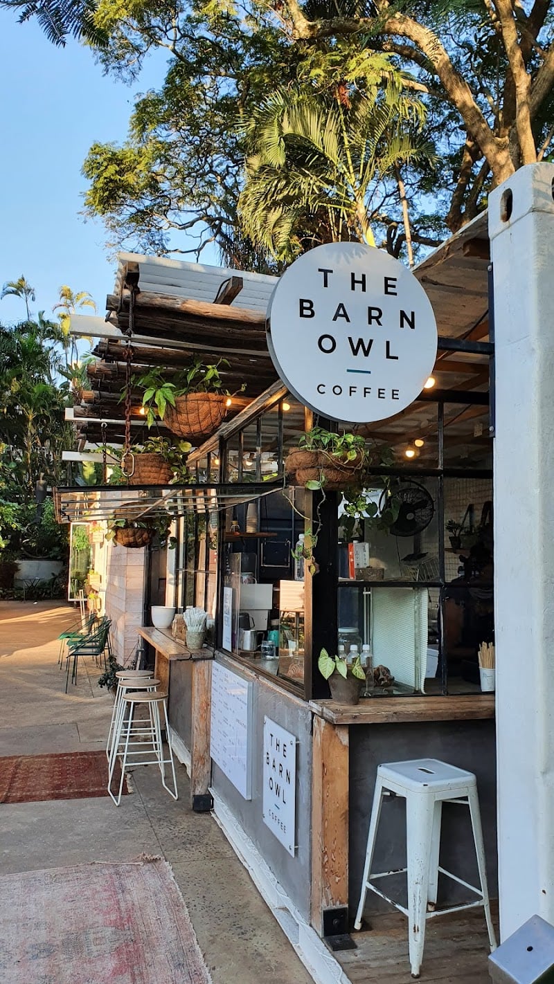 The Barn Owl Florida rd