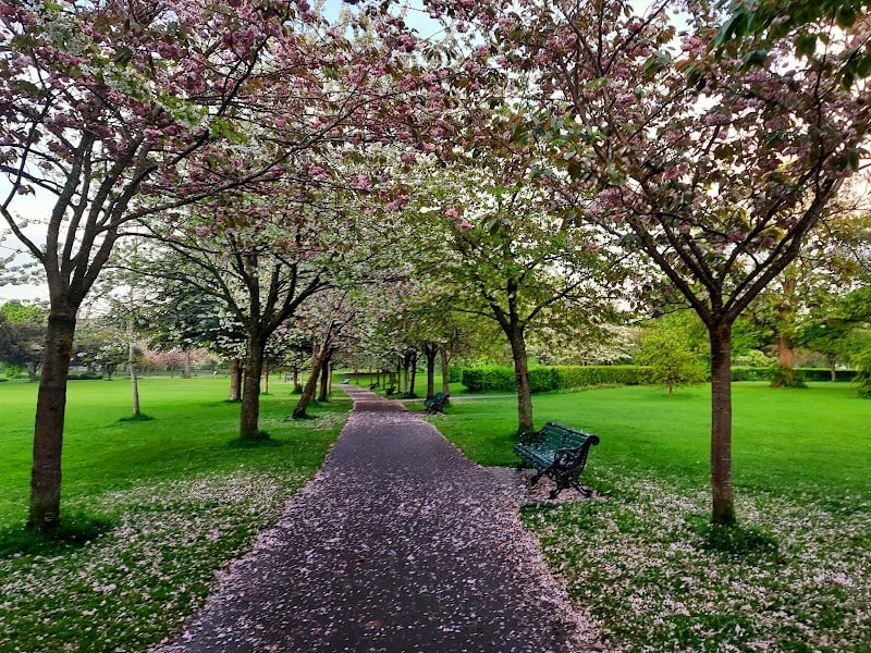 Herbert Park