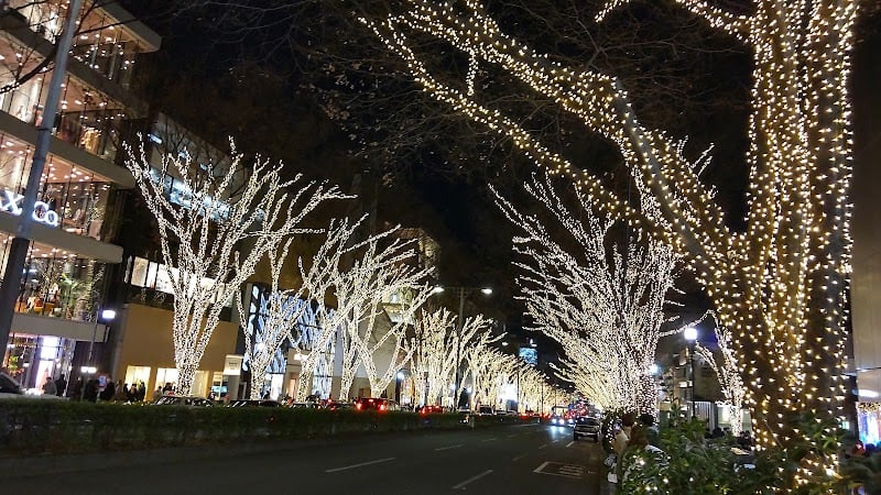 Omotesando Street