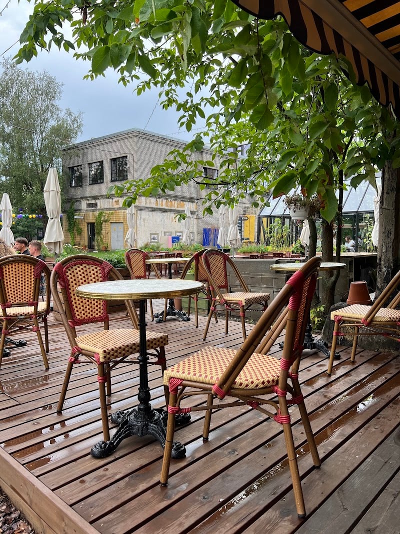 Bar rara