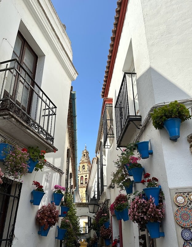 Calleja de las Flores