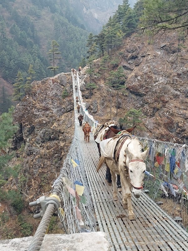 Everest Base Camp