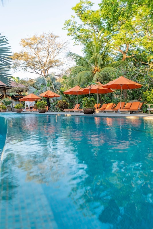 Bodhi Tree Yoga Resort - Yoga