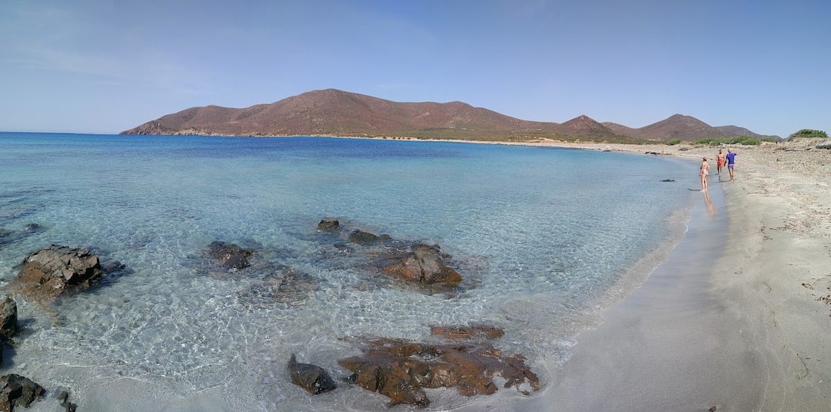 Porto Cogolidus