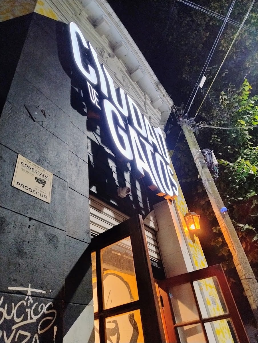 Ciudad de Gatos