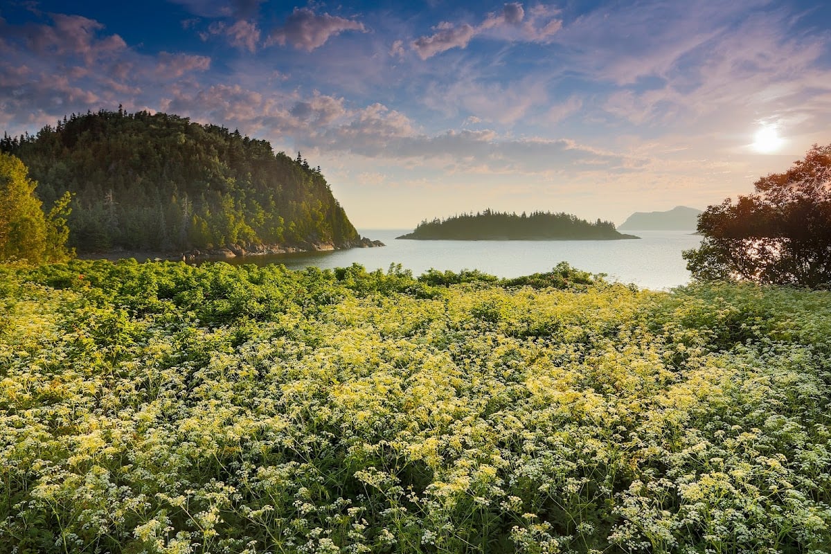 Parc national du Bic