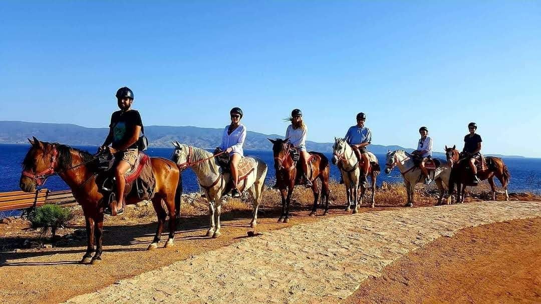 Harriets Hydra Horses - Sight