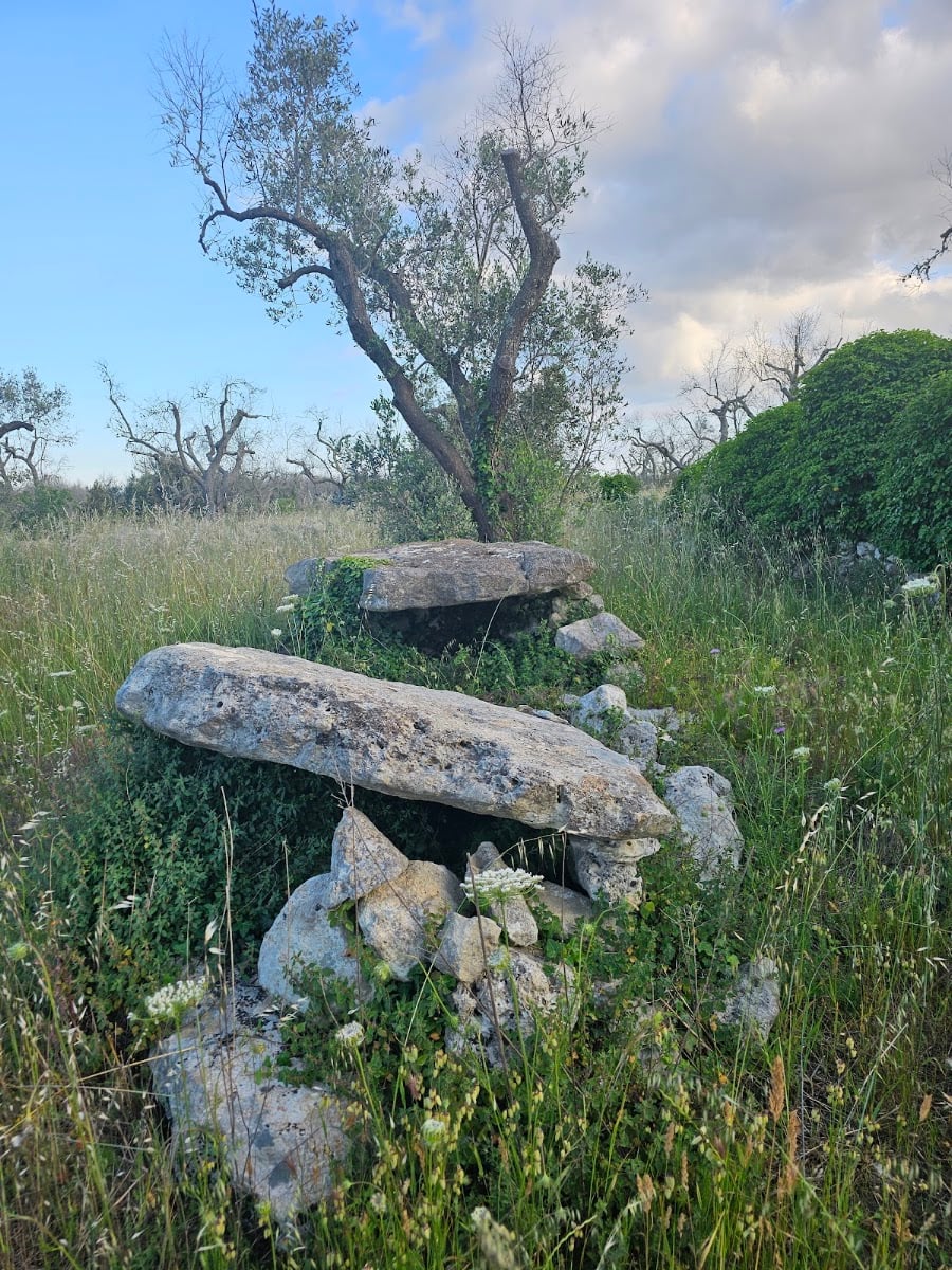 Dolmen Grassi