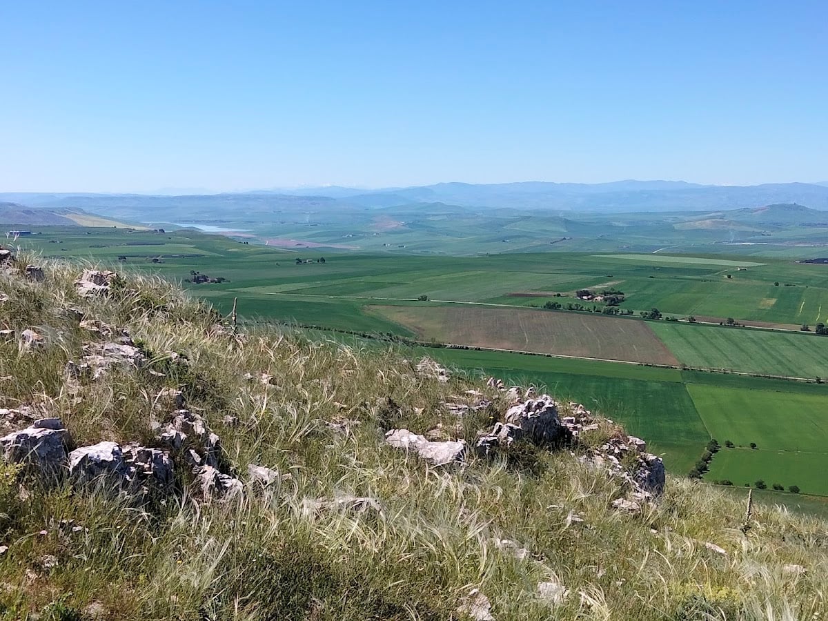 Poggio Senarico