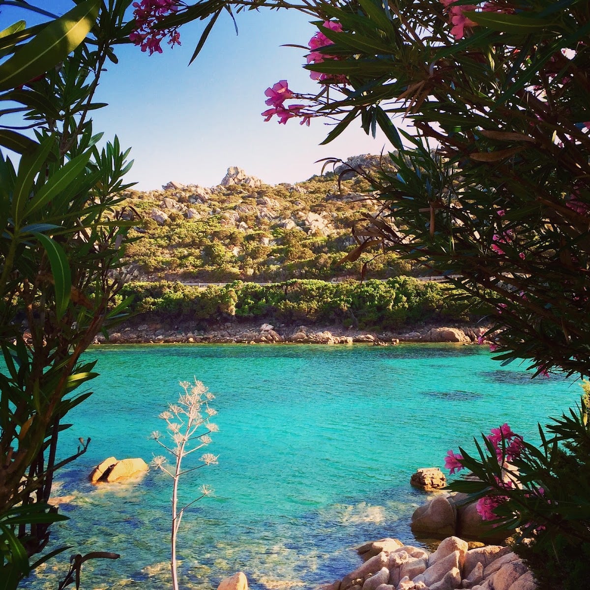 Maddalena Island