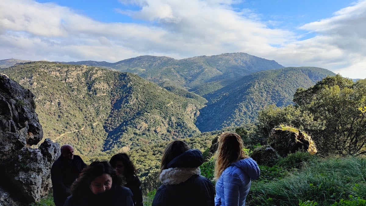 Foresta di Santa Maria