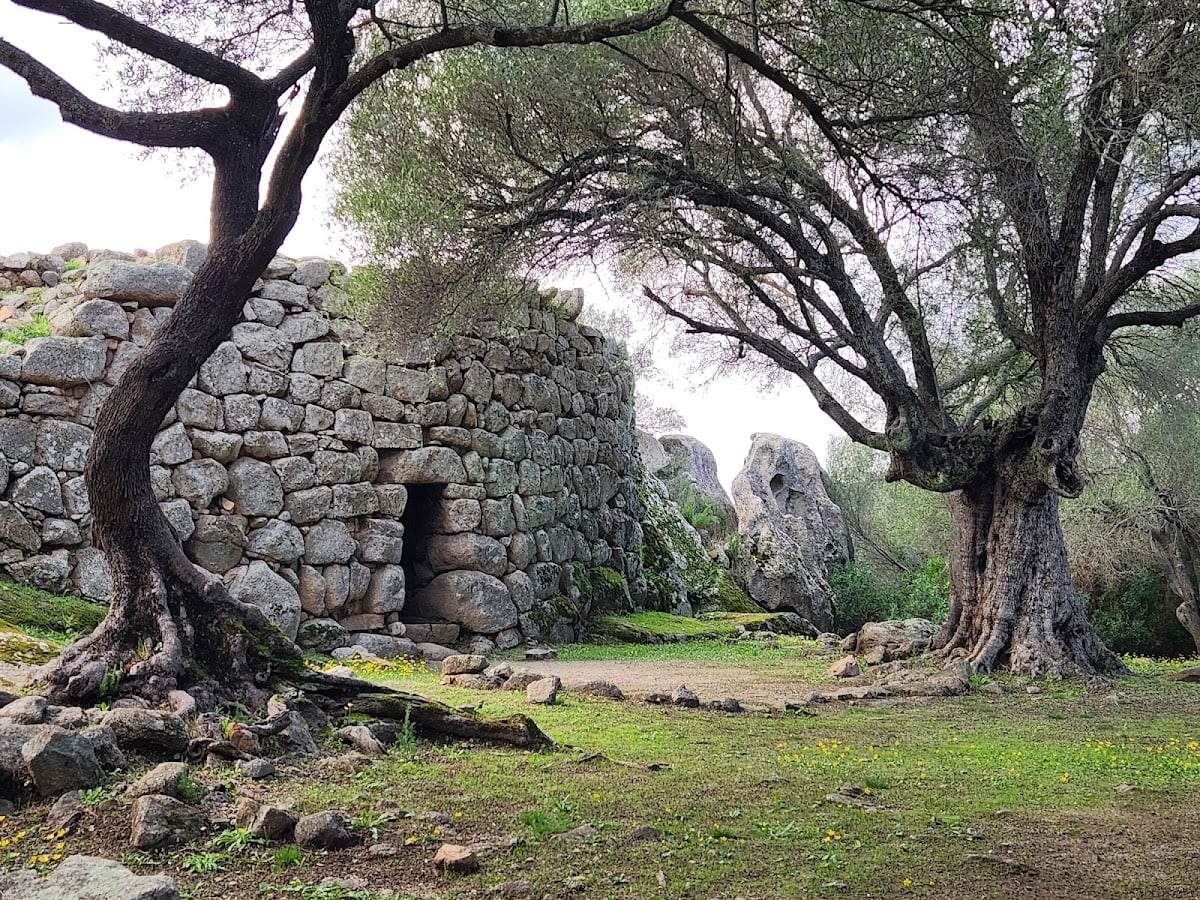 Nuraghe Albucciu